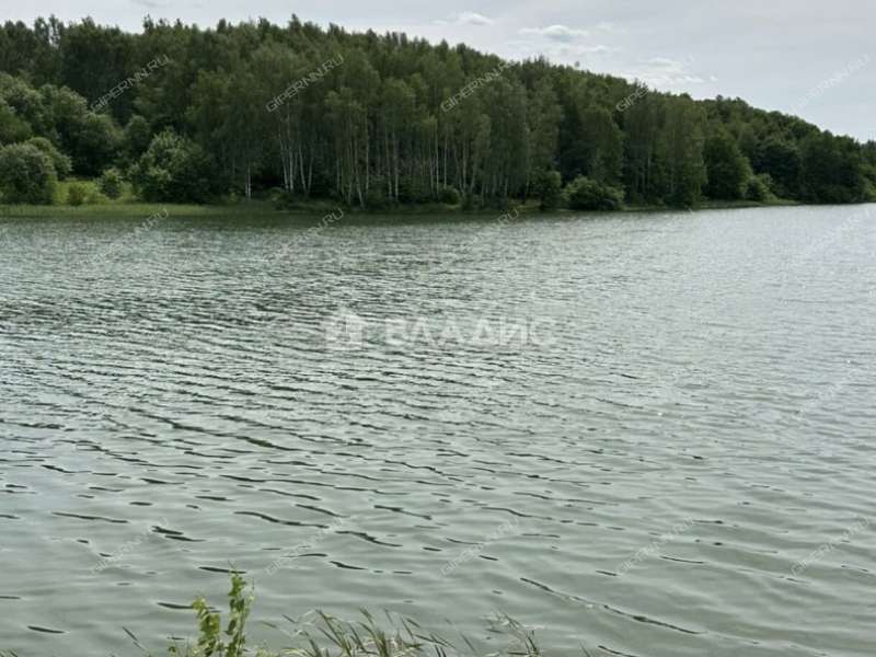 земельный участок 23 000 соток Центральная улица сельский посёлок Мирный